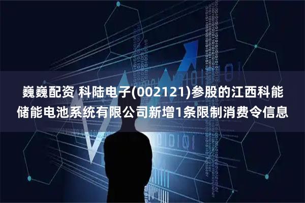 巍巍配资 科陆电子(002121)参股的江西科能储能电池系统有限公司新增1条限制消费令信息