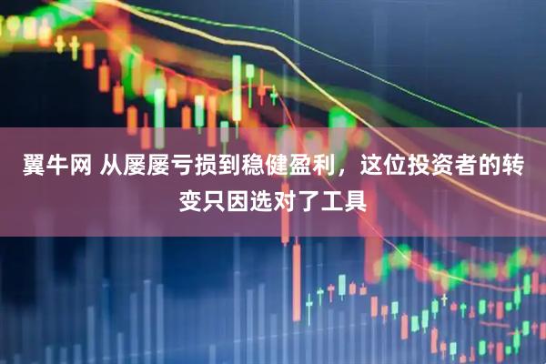 翼牛网 从屡屡亏损到稳健盈利，这位投资者的转变只因选对了工具